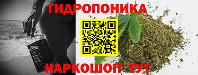 винт Можга